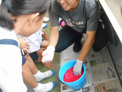 DSCN0217