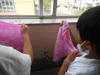 DSCN0231