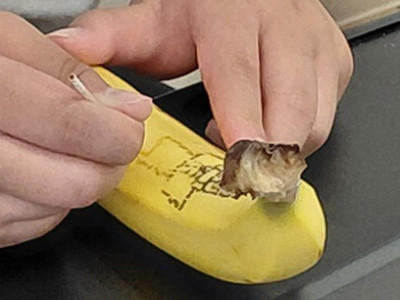 1657
