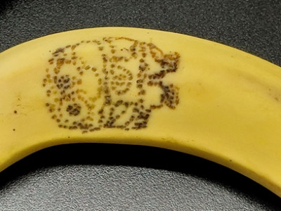 1660