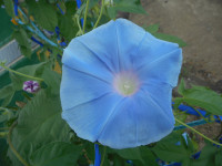 DSCN9637