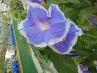 DSCN9638