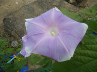 DSCN9640