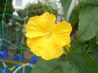 DSCN9642