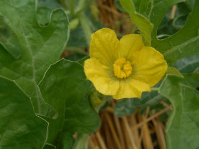 DSCN9643