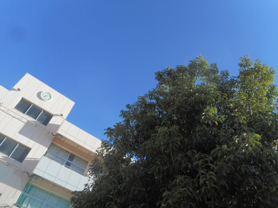 DSCN9775