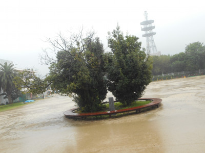DSCN0006